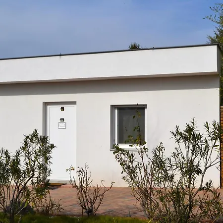 Ferienwohnungen Halbturn Exterior photo