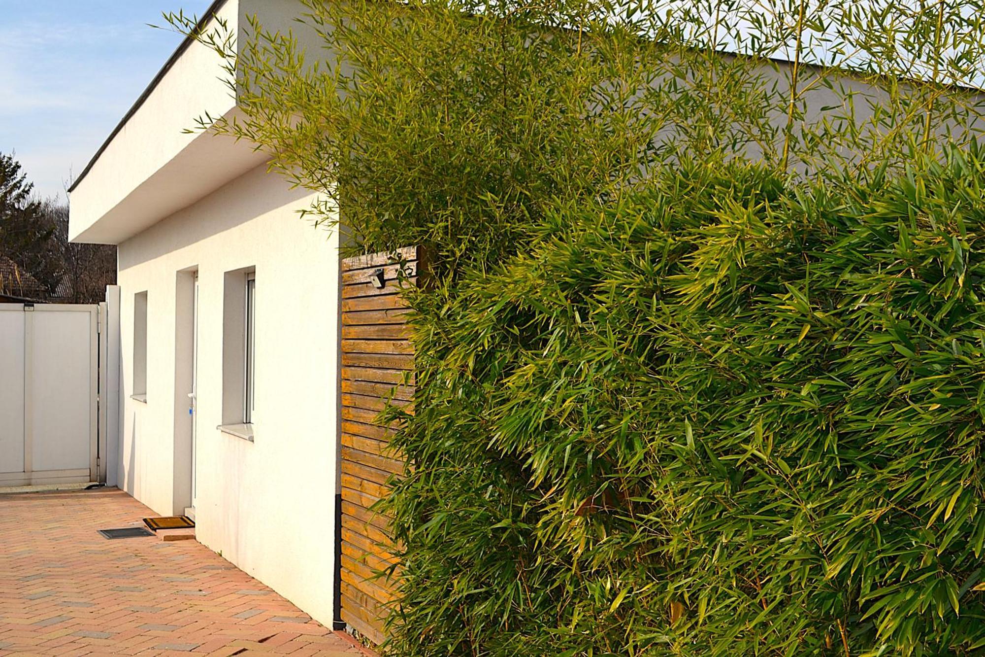 Apartment Ferienwohnungen Halbturn